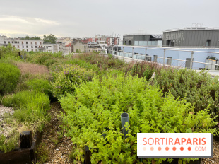 L'aromathèque Persépolis, sur le toit de la bourse du travail à Saint-Denis - nos photos