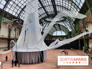 Nous, frissons d'étoile : une installation immersive contemporaine au Grand Palais