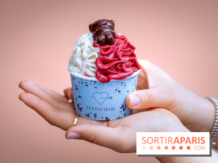 Le comptoir à glaces de Pleincœur et ses coupes glacées - photos