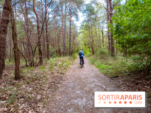Liaisons douces à Fontainebleau : la forêt à vélo, les photos
