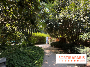 Le Jardin Claire Motte, square secret dans le 17e arrondissement