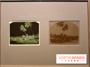 Voir Tahiti : une exposition qui dévoile les premières photos du XIXe siècle au musée du Quai Branly