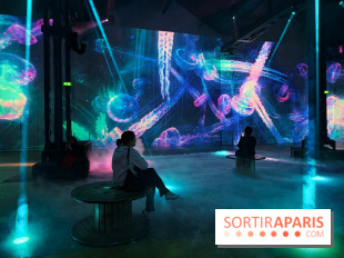 Plongez à la découverte de Planète Océan, l’exposition immersive de l’Atelier des Lumières