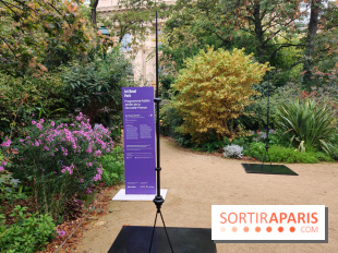 Art Basel 2026 : une installation éphémère à voir gratuitement au jardin de la Nouvelle-France