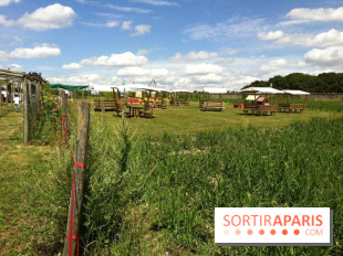 Les labyrinthes de la Ferme de Gally