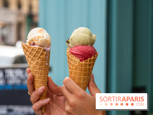 La Tropicale Glacier, un salon de thé aux glaces insolites