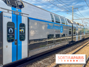 RER B, D et Transiliens : perturbations majeures pendant les vacances de la Toussaint 2024