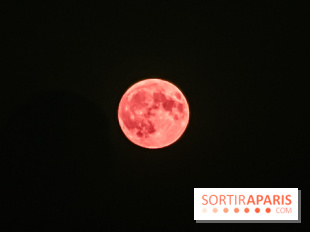 Qu'est-ce que cette micro pleine lune rose, visible dans la nuit du 12 au 13 avril 2025 ? 