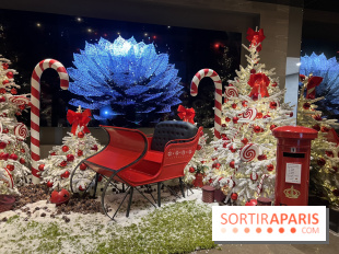 Ce Marché de Noël en plein Paris promet patinoire, manèges et spectacles