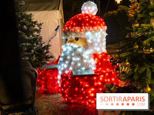 Un charmant village de noel dans le Val d'Oise ce week-end avec patinoire gratuite