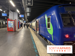 Tempête Goretti, le RER A et E fortement touchés et impactés