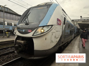 Transports à Paris et en Île-de-France : les perturbations de cette semaine avec la neige et le verglas