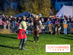 Fête Viking et Marché médiéval vous attendent dans le Val d'Oise