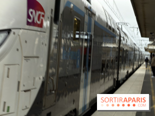 Transports à Paris et en Ile-de-France : les perturbations RER, métro du 9 au 15 février