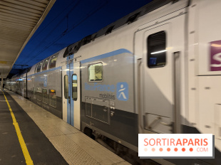 Tempête Nils, des perturbations possibles sur les transports en Ile-de-France