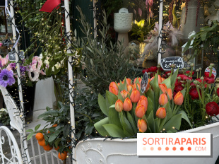 La foire aux Plantes de Crèvecœur-En-Brie 2026 (77)