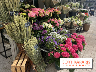 La Fête des Jardins de Sois-y en Essonne 2026