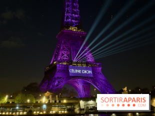 Céline Dion en concert à Paris La Défense Arena : dates, prévente... tout ce qu'il faut savoir