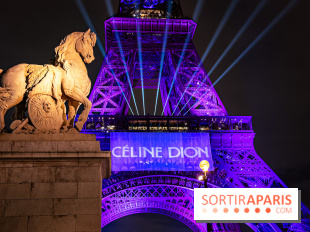 Concert de Céline Dion : 9 millions de pré-inscriptions, un record !