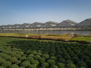 Val d'Oise : des milliers de plantes aux Portes ouvertes du centre Horticole du Grand Paris