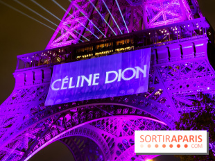 Céline Dion en concert à Paris, pourquoi la jaune est réduite ? 