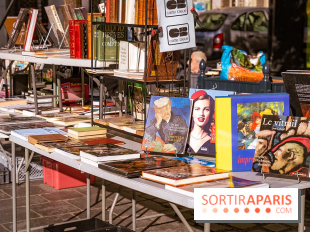 Seine-et-Marne : Brocantes et vide greniers du 77 ce week-end prolongé du 8 au 10 mai 2026