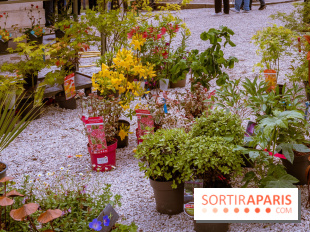 Jardins en fête à Auvers 91