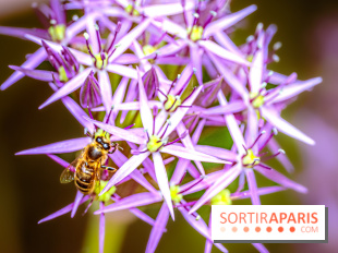 La Fête de la Nature et du bien-être animal vous attend ce samedi en Val-de-Marne