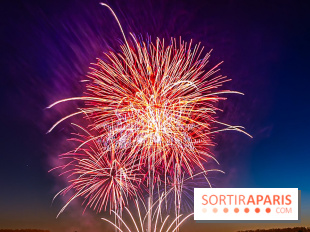 Seine-et-Marne, les feux d'artifice du 14 juillet interdits dans les zones sensibles