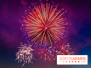 Après l'Essonne, les Yvelines, le Val d'Oise et la Seine-et-Marne interdisent les feux d'artifice