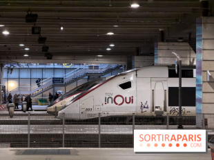Incendie trains coupés