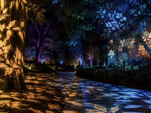 Val d'Oise : un nouveau parcours de lumières prévu sur l’île de loisirs de Cergy Pontoise