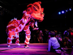 Nouvel an vietnamien 2019 au Pavillon Baltard 