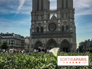 Réouverture du Parvis et de la rue du Parvis de Notre-Dame de Paris