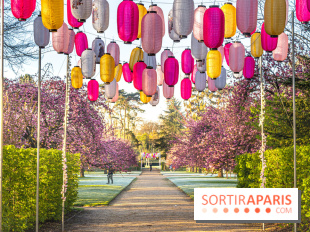 Hanami au Parc de Sceaux 2022, la fête des cerisiers en fleurs