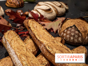 Où trouver les meilleures baguettes et pains au levain de Paris ?