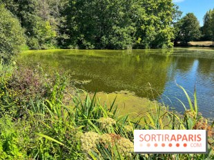 Fête de la Nature à Issy-les-Moulineaux, le programme gratuit