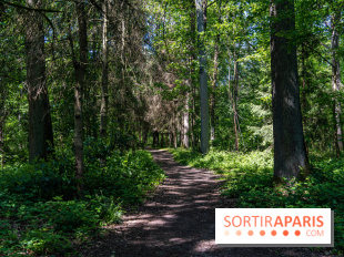 Nuit des forêts Rambouillet 2023