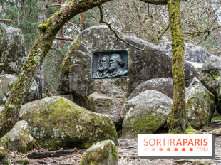 Nuit des Forêts à Fontainebleau 2023 entre art, nature et découvertes gratuites