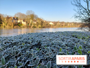 Neige et verglas : Paris et l'Île-de-France en vigilance jaune ce samedi