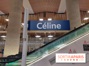 Concerts de Céline Dion à Paris : des perturbations annoncées sur les RER A et E en soirée