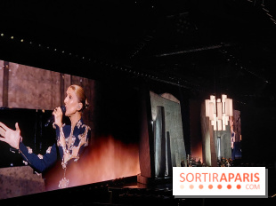 Céline Dion: 2h25 de show rempli d'émotion, tubes en rafale.. on vous raconte son 2e concert à Paris