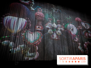 Björk en concert à l’Accor Arena de Paris : on y était, on vous raconte