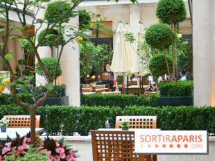 Café Jeanne : restaurant et belle terrasse au cœur du Park Hyatt Paris-Vendôme