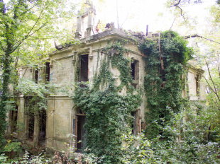 Le bois de la solitude et les ruines de son mystérieux château : une balade romantique en région parisienne