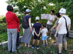 Rendez-Vous aux Jardins 2026 : balade sensorielle en famille dans un jardin pédagogique des Hauts-de-Seine