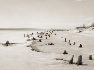 Corps littoral : l'exposition de Camille Guichard à la galerie Rachel Hardouin