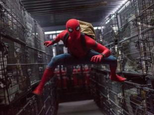Spider-Man: Homecoming : Tom Holland