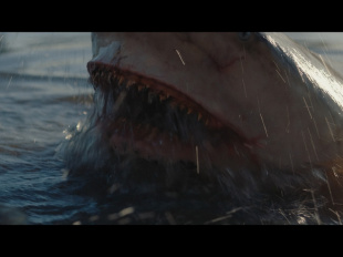 Fear Below : un thriller aquatique australien sur Paramount+