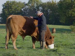 Rural : Édouard Bergeon au cœur du monde agricole